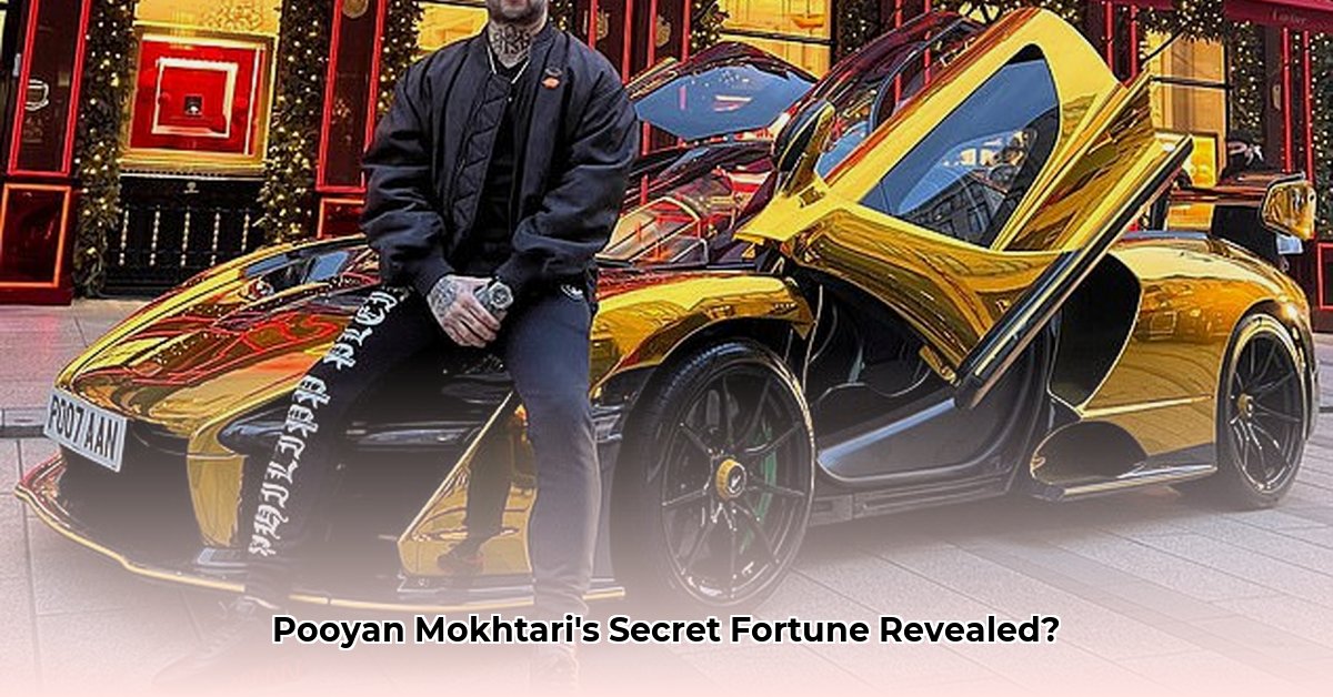 pooyan-mokhtari-net-worth